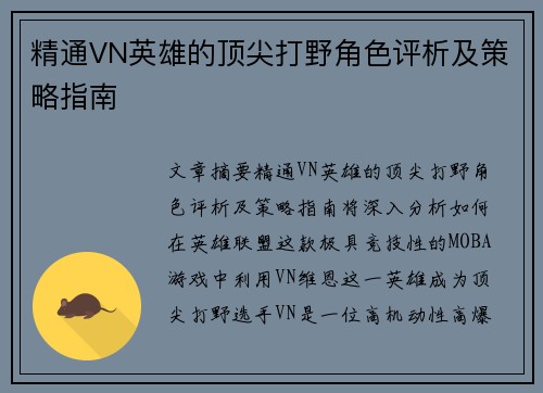精通VN英雄的顶尖打野角色评析及策略指南